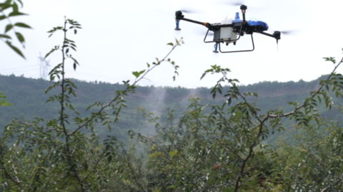 Chinese agricultural drone maker EAVision bags funding from Temasek, CITIC
