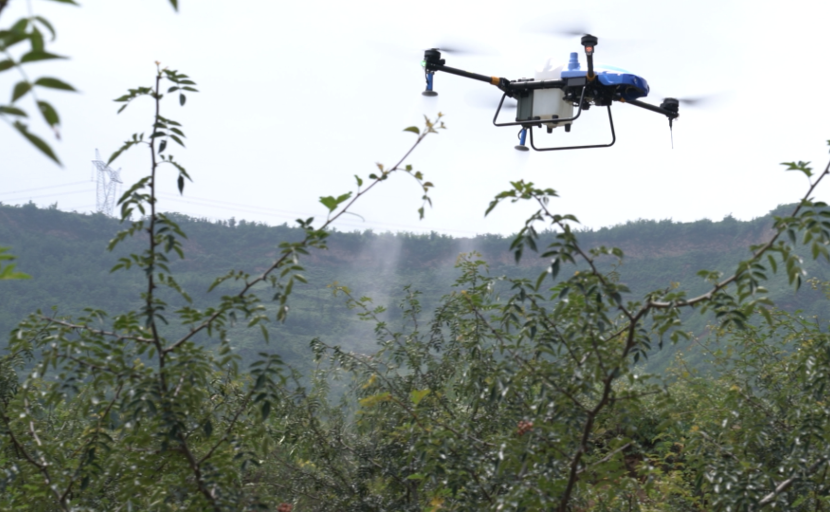 Chinese agricultural drone maker EAVision bags funding from Temasek, CITIC