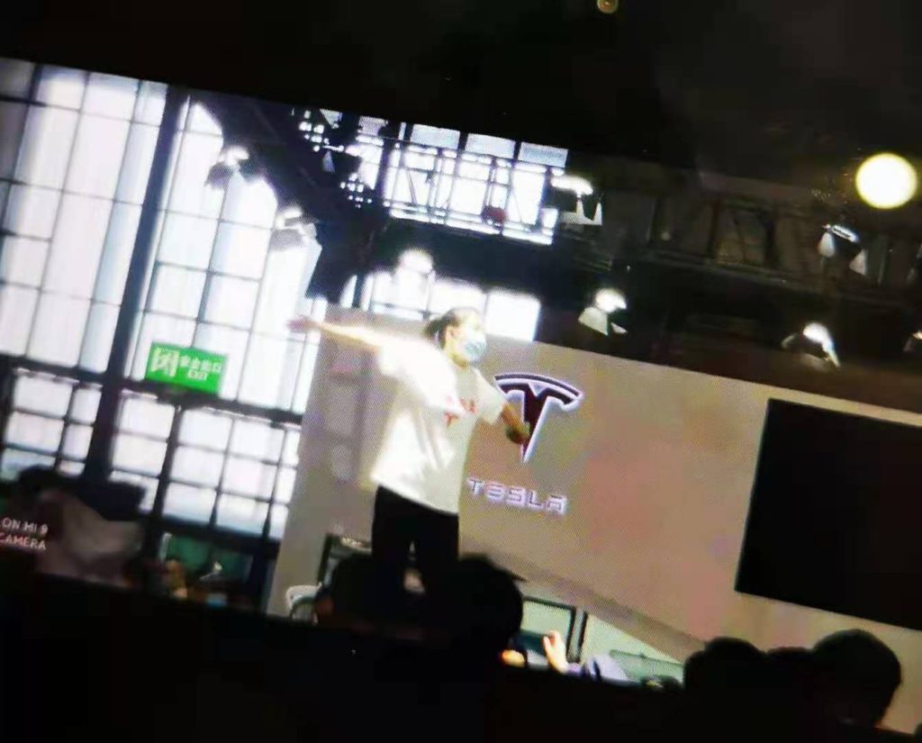 Tesla auto show