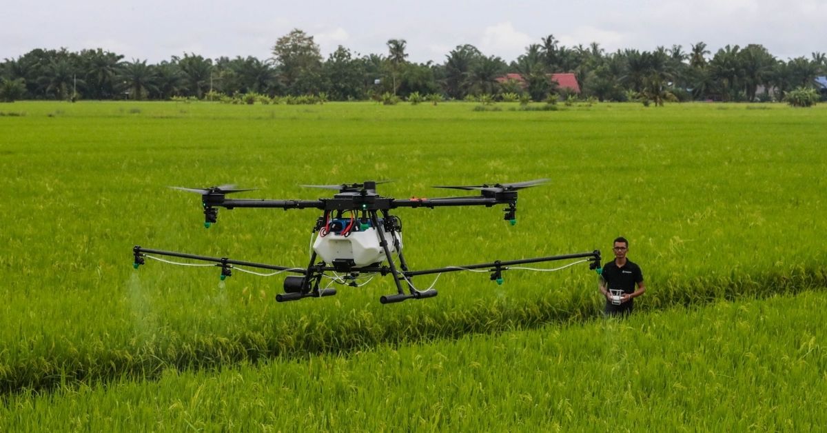 Malaysian startups provide impetus for country’s agritech sector