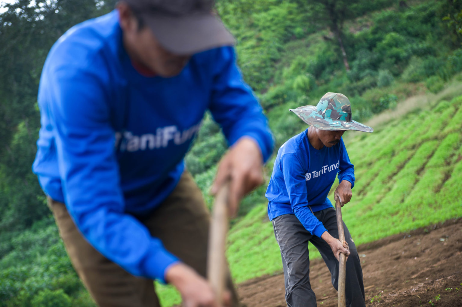 Agritech firm TaniHub nets USD 65.5 million in round led by MDI Ventures