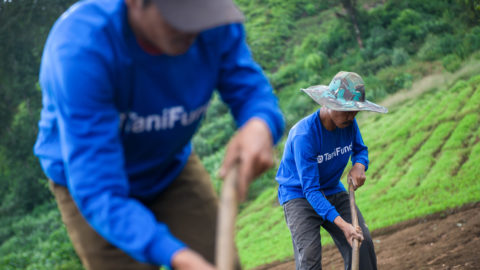 Agritech firm TaniHub nets USD 65.5 million in round led by MDI Ventures