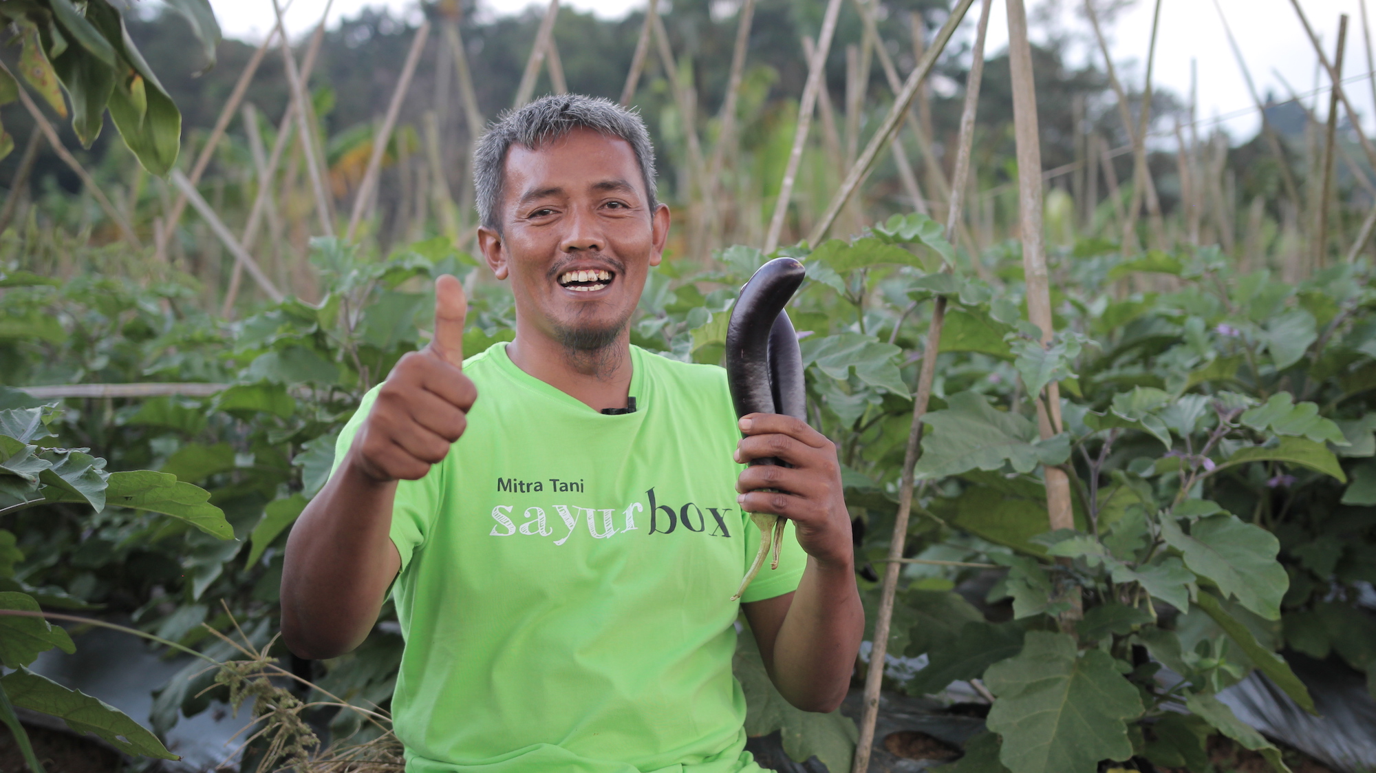 Sayurbox is developing a sustainable agricultural supply chain in Indonesia | Startup Stories