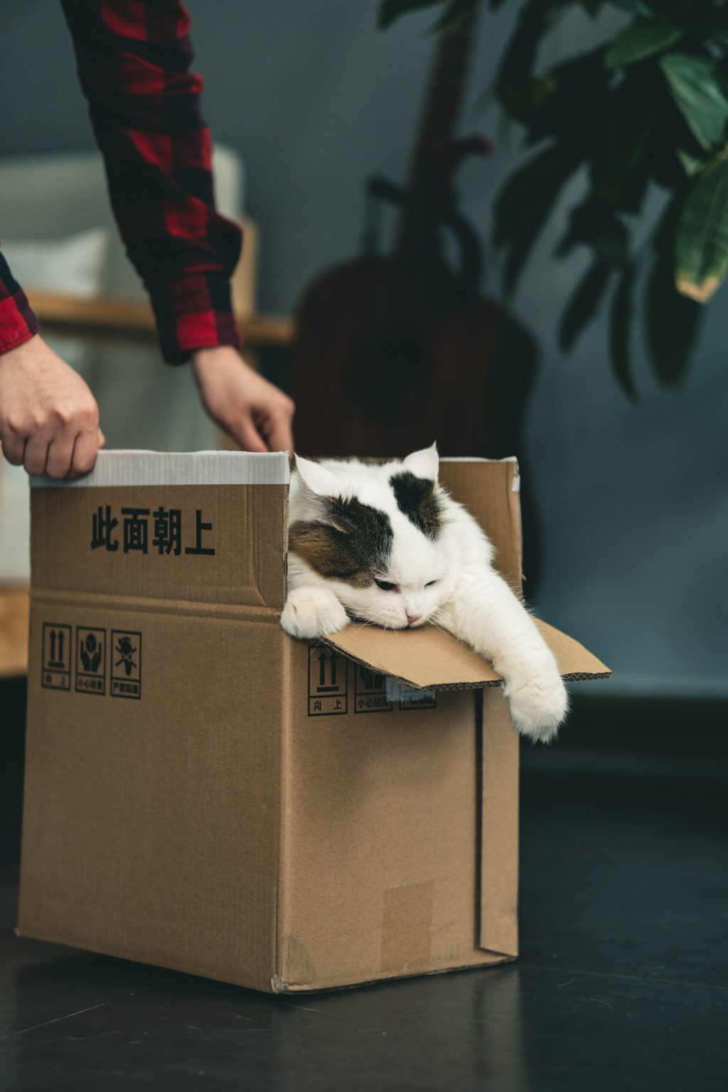 Photo credit: Unsplash. 