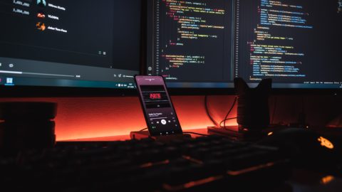 Photo credit: Unsplash.com