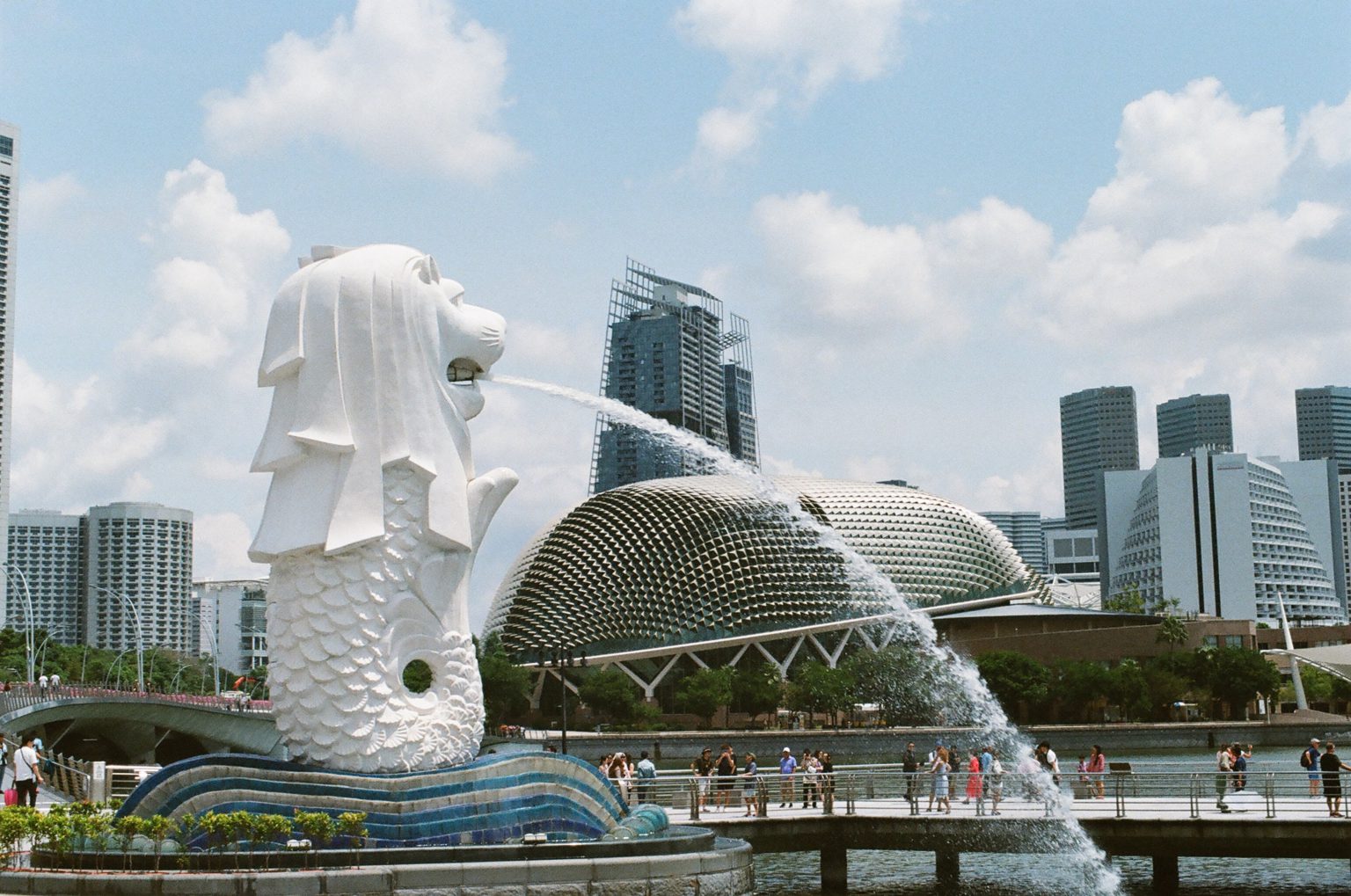 Image by Jisun Han from Unsplash. 