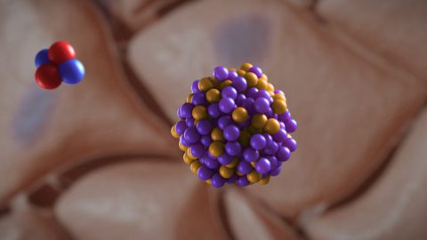 An illustration of Alpha Tau Medical's cancer therapy technology. Courtesy of Alpha Tau Medical via NoCamels.