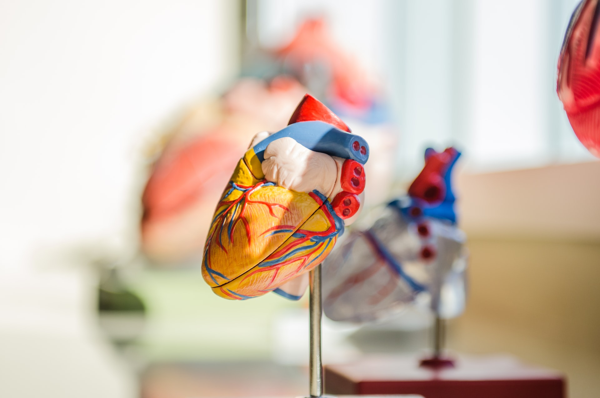 Tongxin Medical nabs Series D investment from Sequoia Capital China to treat heart disease
