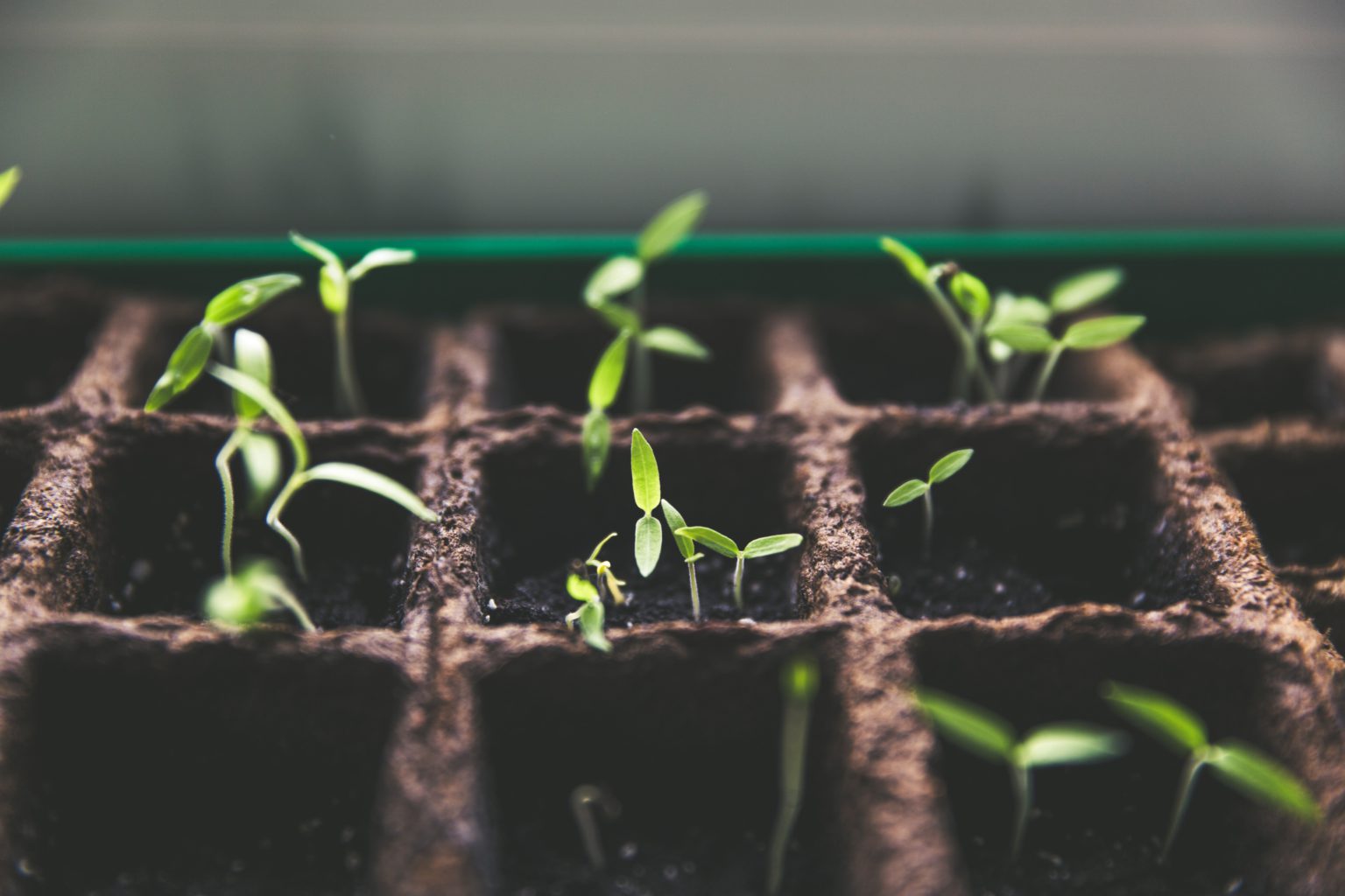 Source: Markus Spiske on Unsplash