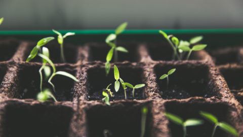 Source: Markus Spiske on Unsplash