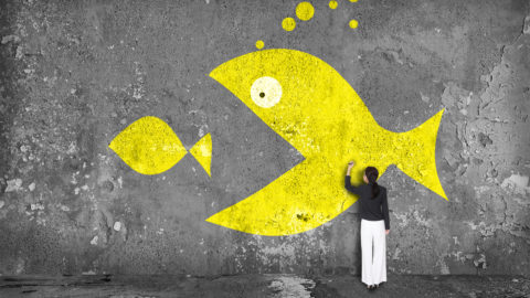 Mergers & Acquisitions, M&A