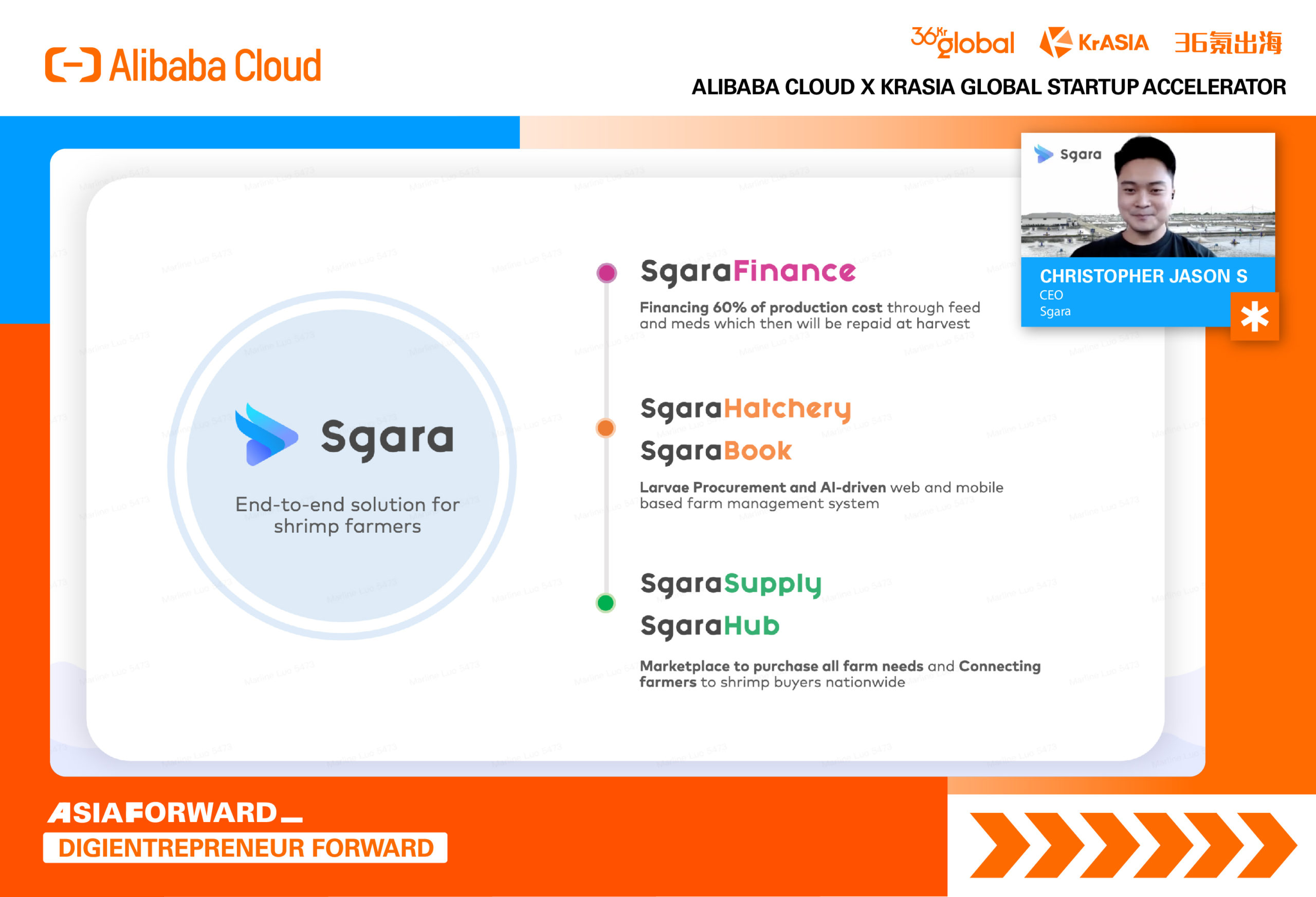 Sgara scaled