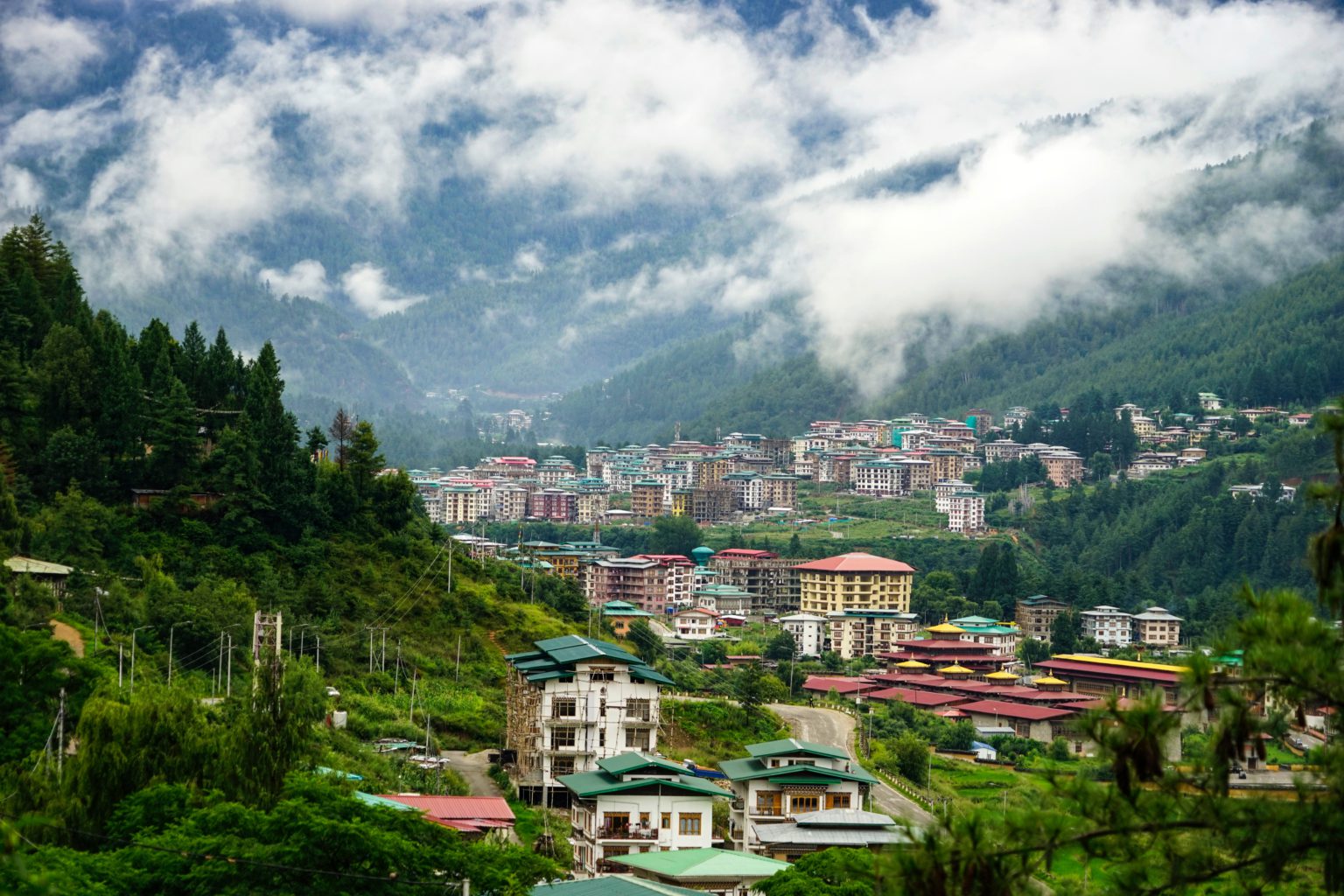 Picture by Pema Gyamtsho from Unsplash. 