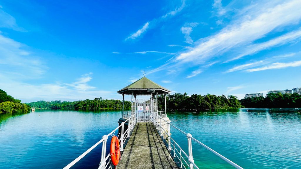 MacRitchie reservoir. Photo by Allen Ng on Unsplash.