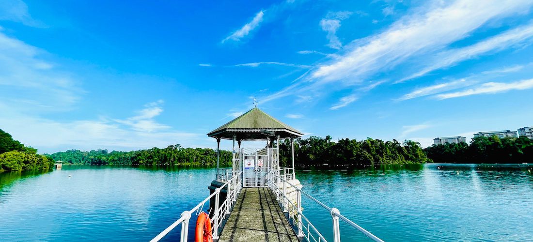 MacRitchie reservoir. Photo by Allen Ng on Unsplash.
