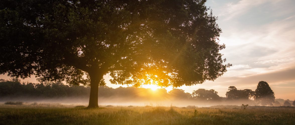 Photo credit: Unsplash.com