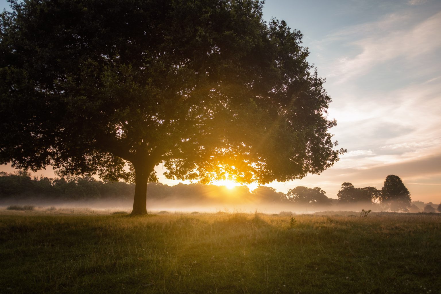 Photo credit: Unsplash.com