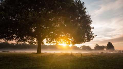 Photo credit: Unsplash.com
