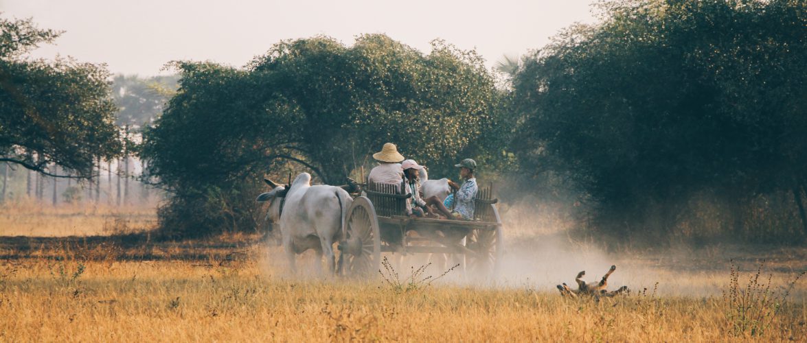 Image from Unsplash by Dinis Bazgutdinov. 