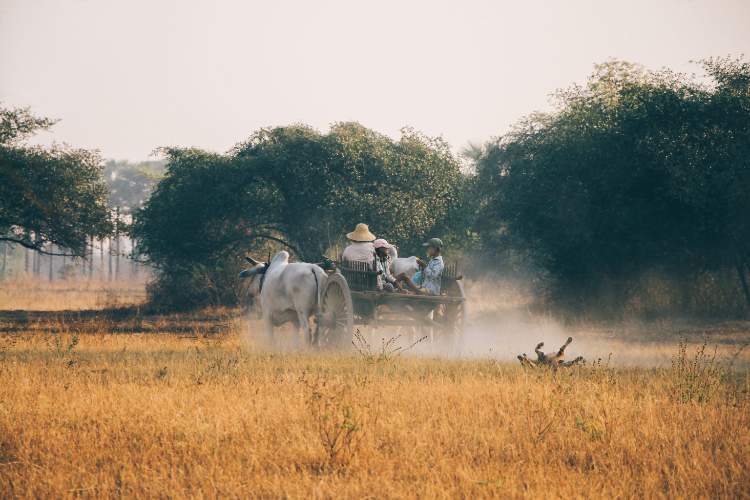 Image from Unsplash by Dinis Bazgutdinov.