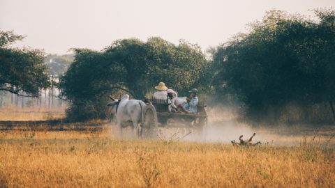 Image from Unsplash by Dinis Bazgutdinov. 