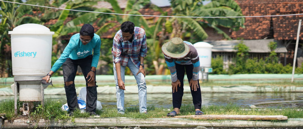 eFishery is recruiting new talent to transform aquaculture in every Indonesian province