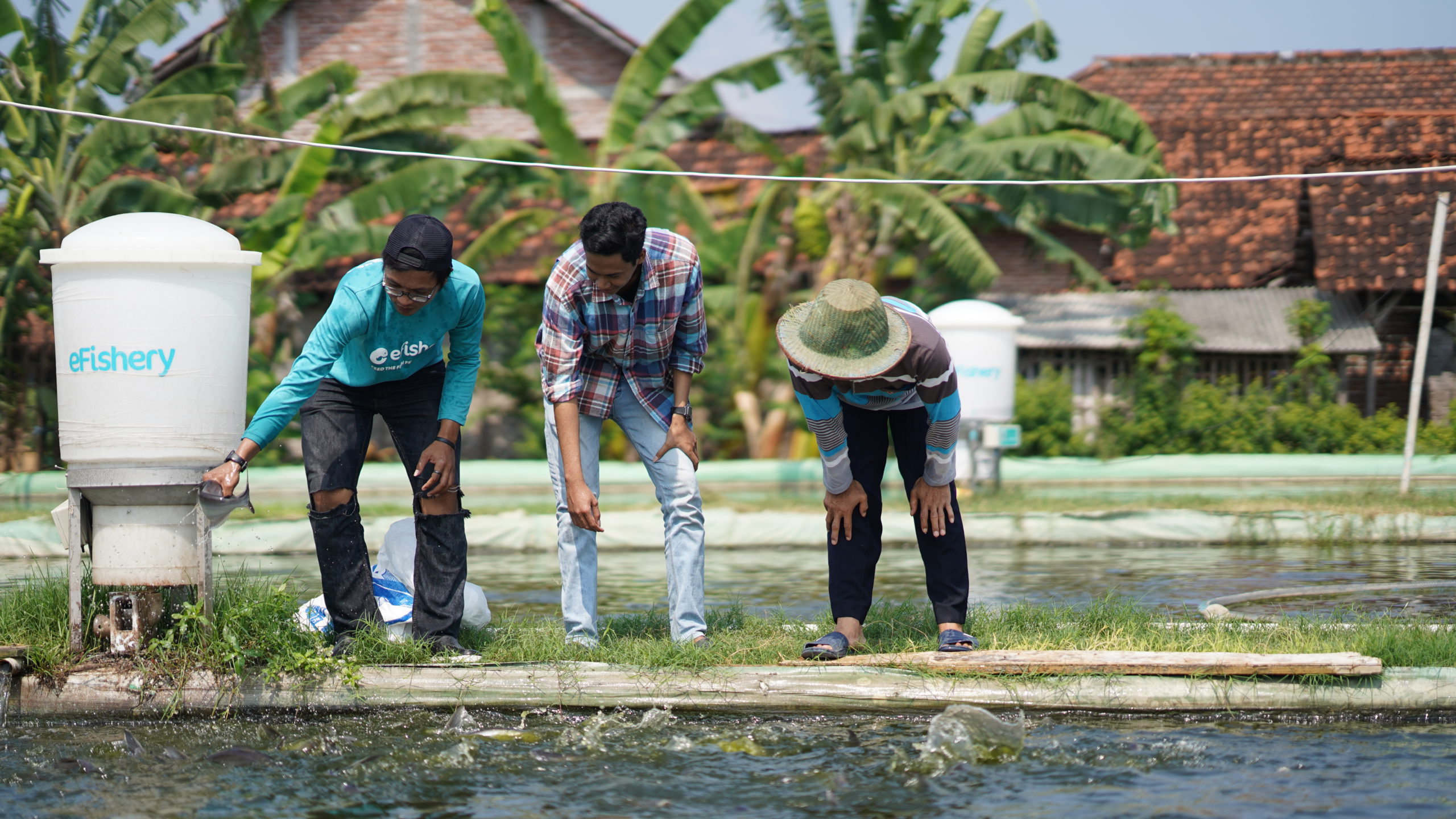 eFishery is recruiting new talent to transform aquaculture in every Indonesian province