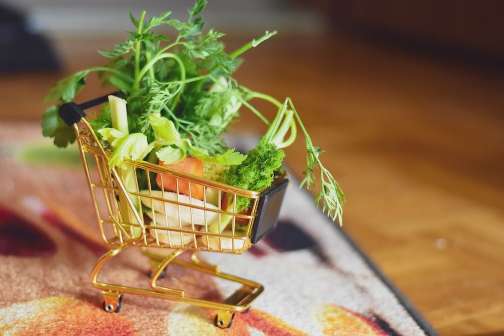 Mini shopping cart. Photo by Alexas Fotos on Unsplash