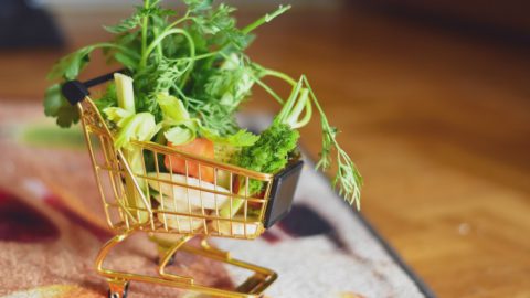 Mini shopping cart. Photo by Alexas Fotos on Unsplash