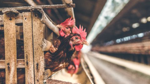 Image by Artem Beliaikin from Unsplash. 
