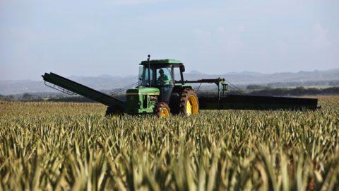 Japan looks to Thailand for bioethanol that doesn’t fuel food insecurity