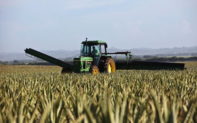 Japan looks to Thailand for bioethanol that doesn’t fuel food insecurity