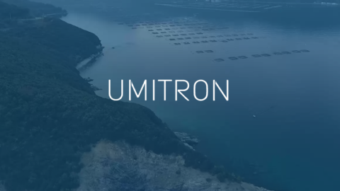 Plenty more fish in the sea: How Umitron is helping aquaculture farmers achieve sustainability with AI and IoT