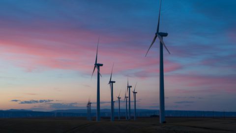5 Takeaways From Venturra’s Report On The State Of Climate Tech In Southeast Asia