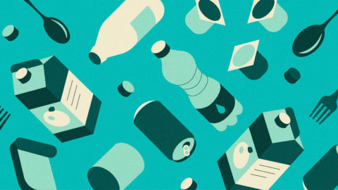Beyond Plastics: The Rise of Innovative Alternatives to Tackle Packaging Waste