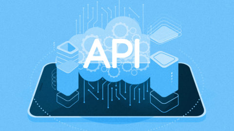 The API Dilemma: Balancing Access and Cost in the Digital Ecosystem