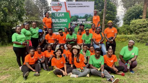 Chinese-led FarmWorks is empowering farmers in distant Africa through technology