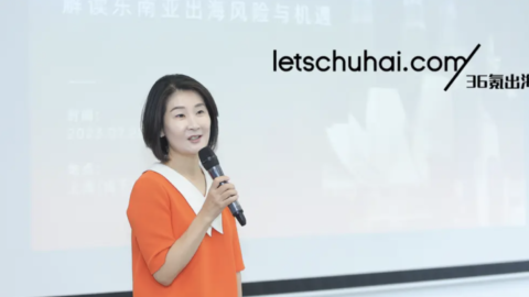 Local perspectives on the risks and opportunities in Southeast Asia