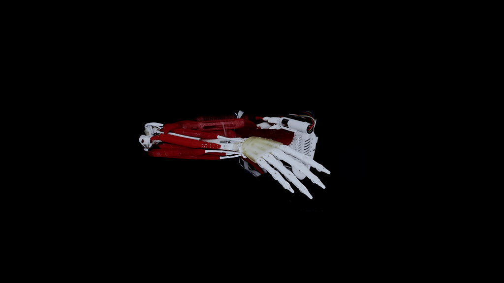 GIF of a bionic arm developed by Yuequan Bionics.
