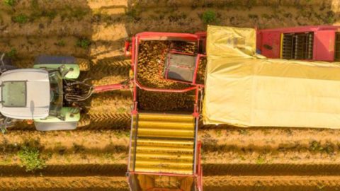 BNHTEK’s modular machines can harvest potatoes non-destructively