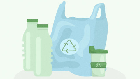 Singapore’s plastic recycling conundrum: Could bioplastics hold the key?