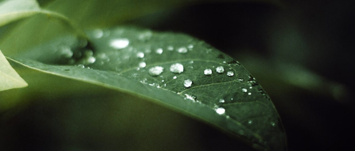 This deep learning AI model can predict climate change&#8217;s impact on daily rainfall patterns