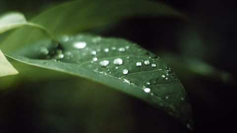 This deep learning AI model can predict climate change’s impact on daily rainfall patterns