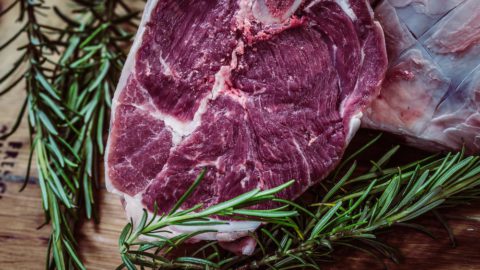 Japanese company slashes lab-grown meat protein cost by 90%