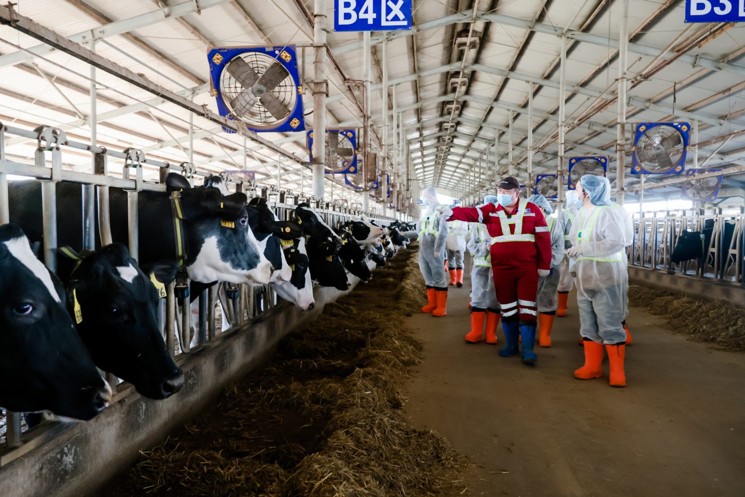 Nestle is building a carbon-neutral ranch in Harbin for dairy and agriculture