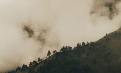 Indonesian activists file reports against four companies for burning amid escalating fire season