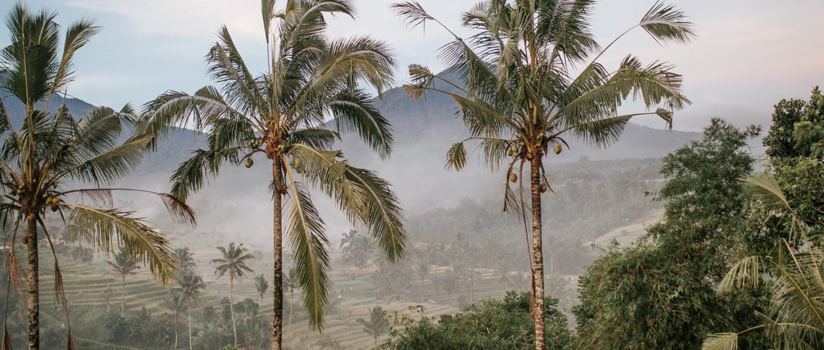 Indonesian palm oil giant panned by activists over ‘independent’ probe into alleged violations