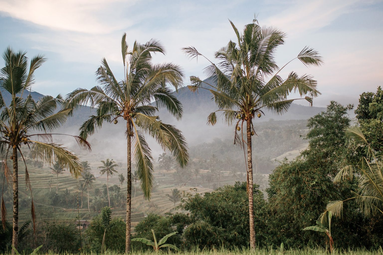 Indonesian palm oil giant panned by activists over ‘independent’ probe into alleged violations