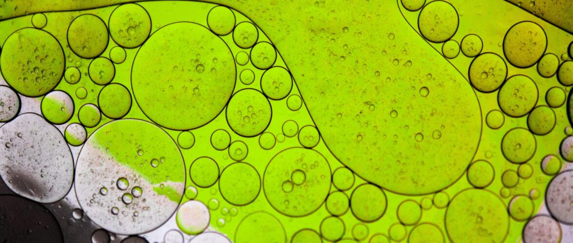 Deals in brief: Clean Growth Fund backs HutanBio, Masa Network and Ultra Violette secure funding, MAVCAP joins Vynn Capital’s second fund as LP, and more
