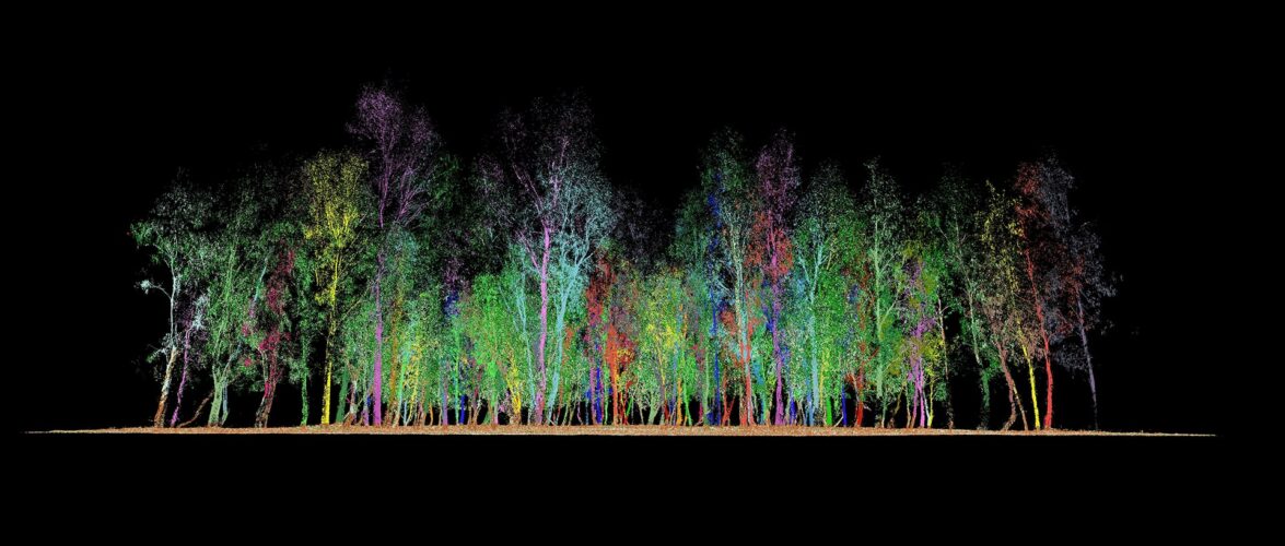 Catch twenty-two: What you should know about carbon offsetting